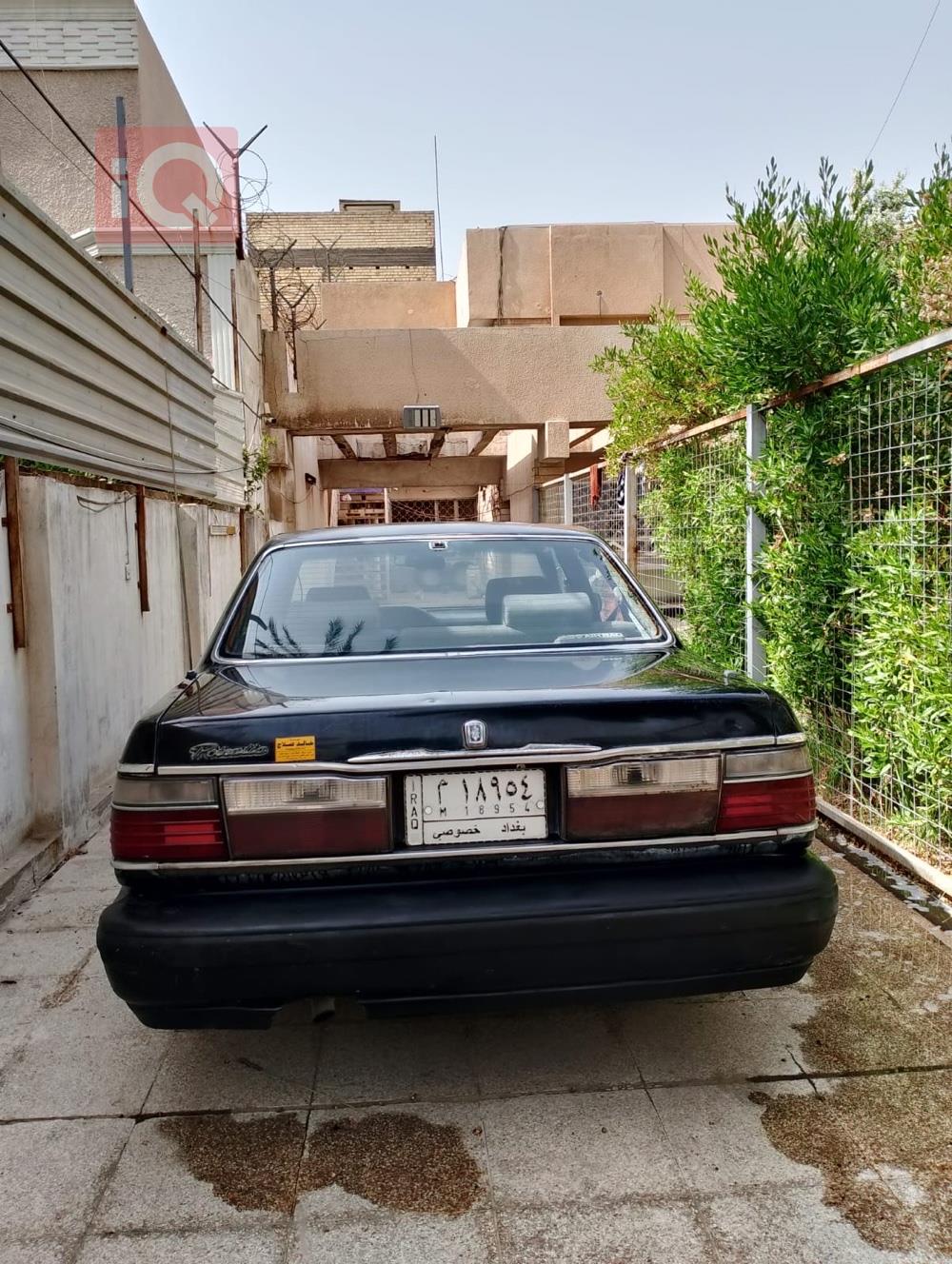 كيا بوتينشيا